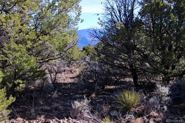 $19,400 | Lot 67 Alta Mesa Drive, San Luis, CO 81152