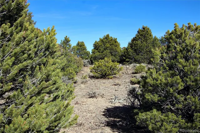 $19,400 | Lot 67 Alta Mesa Drive, San Luis, CO 81152