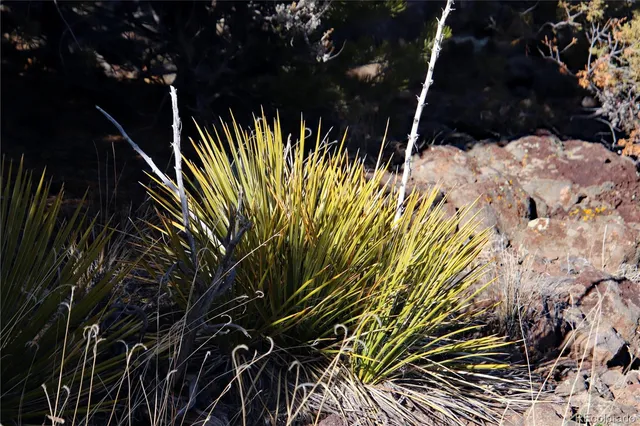 $19,400 | Lot 67 Alta Mesa Drive, San Luis, CO 81152