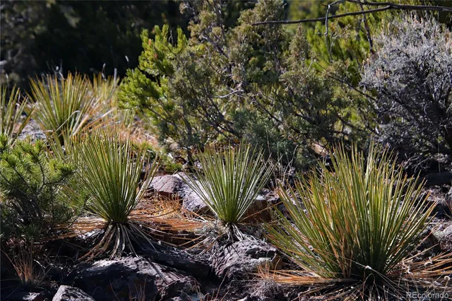 $19,400 | Lot 67 Alta Mesa Drive, San Luis, CO 81152