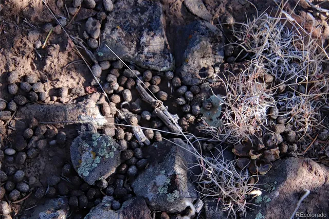 $19,400 | Lot 67 Alta Mesa Drive, San Luis, CO 81152