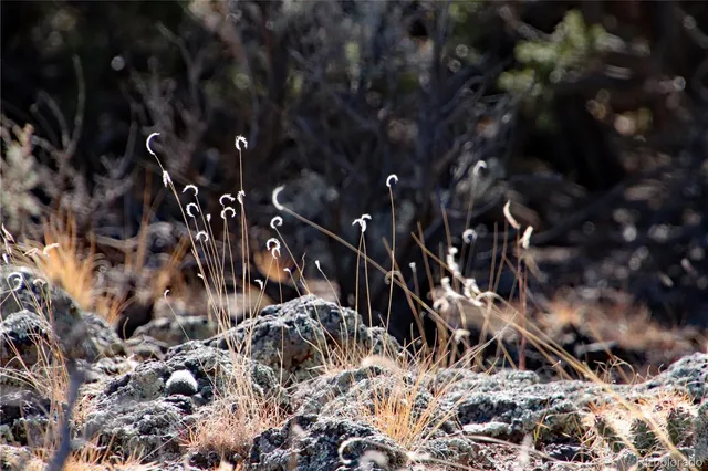 $19,400 | Lot 67 Alta Mesa Drive, San Luis, CO 81152