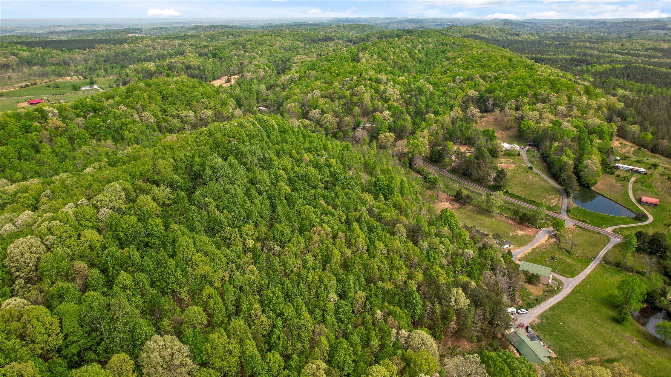 335 County Road 188 Decatur, TN 37322 - Photo 46 of 53 49-Co Rd 188-48