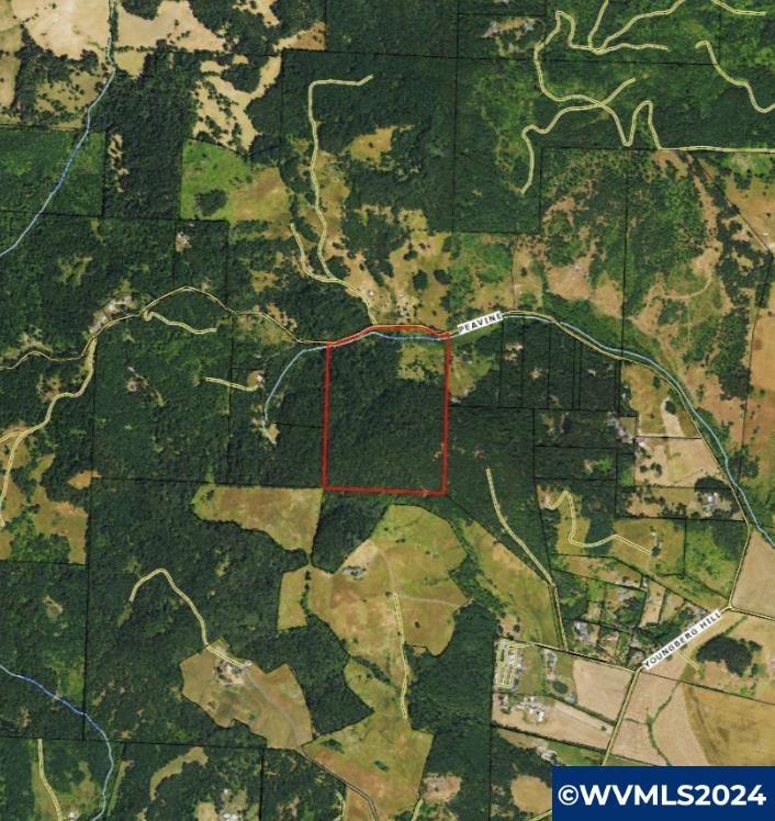 Southwest Peavine Road McMinnville, OR 97128 - Photo 2 of 4