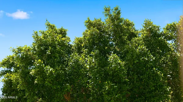 $800,000 | 2839 East Sierra Street, Phoenix, AZ 85028