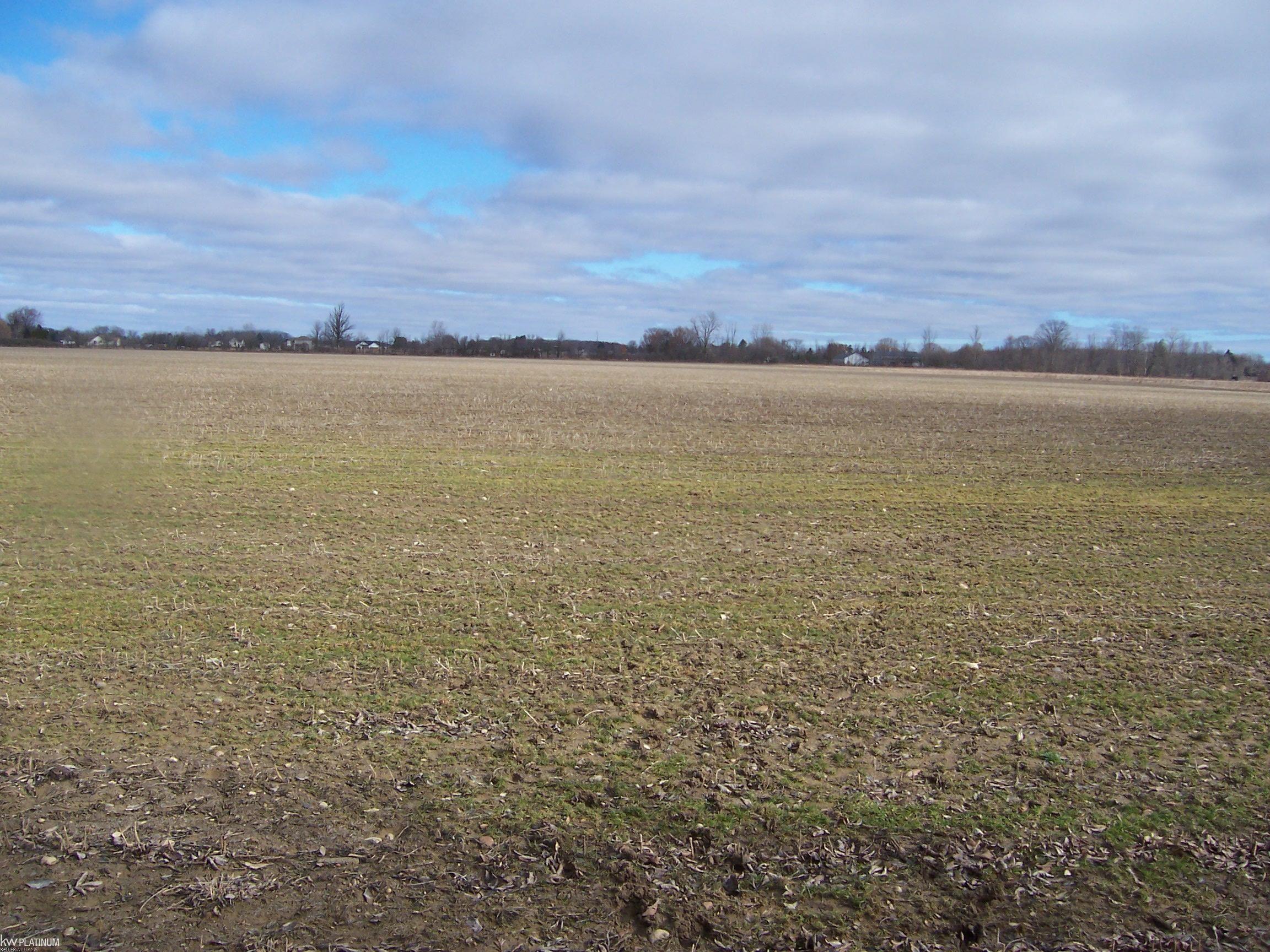Lot H Carroll Road Columbus, MI 48063 - Photo 2 of 2