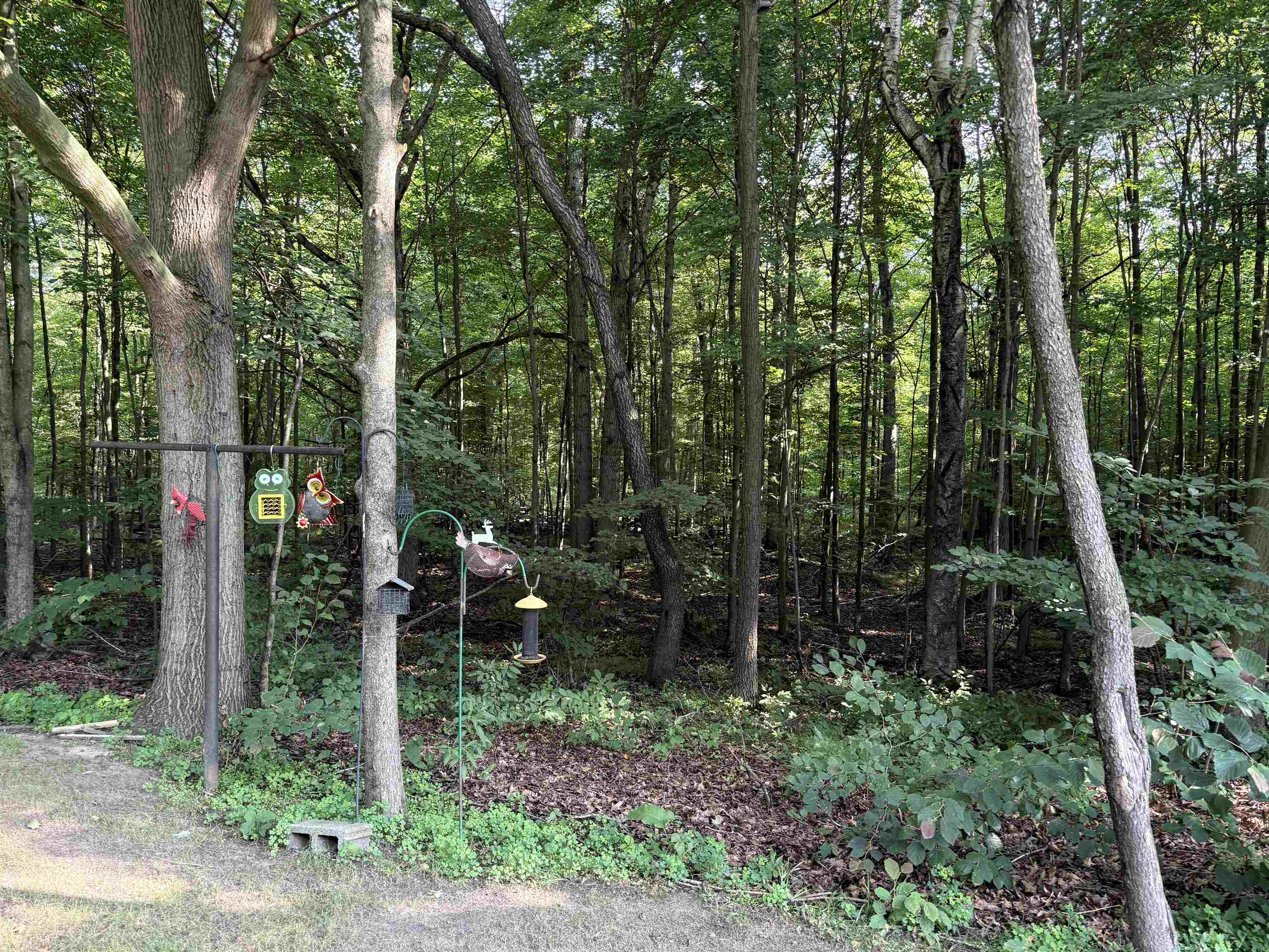 15530 Fowler Road Oakley, MI 48649 - Photo 25 of 29 50192141-b708e6ec-2d93-4344-91d4-d264c05db7f3.JPG