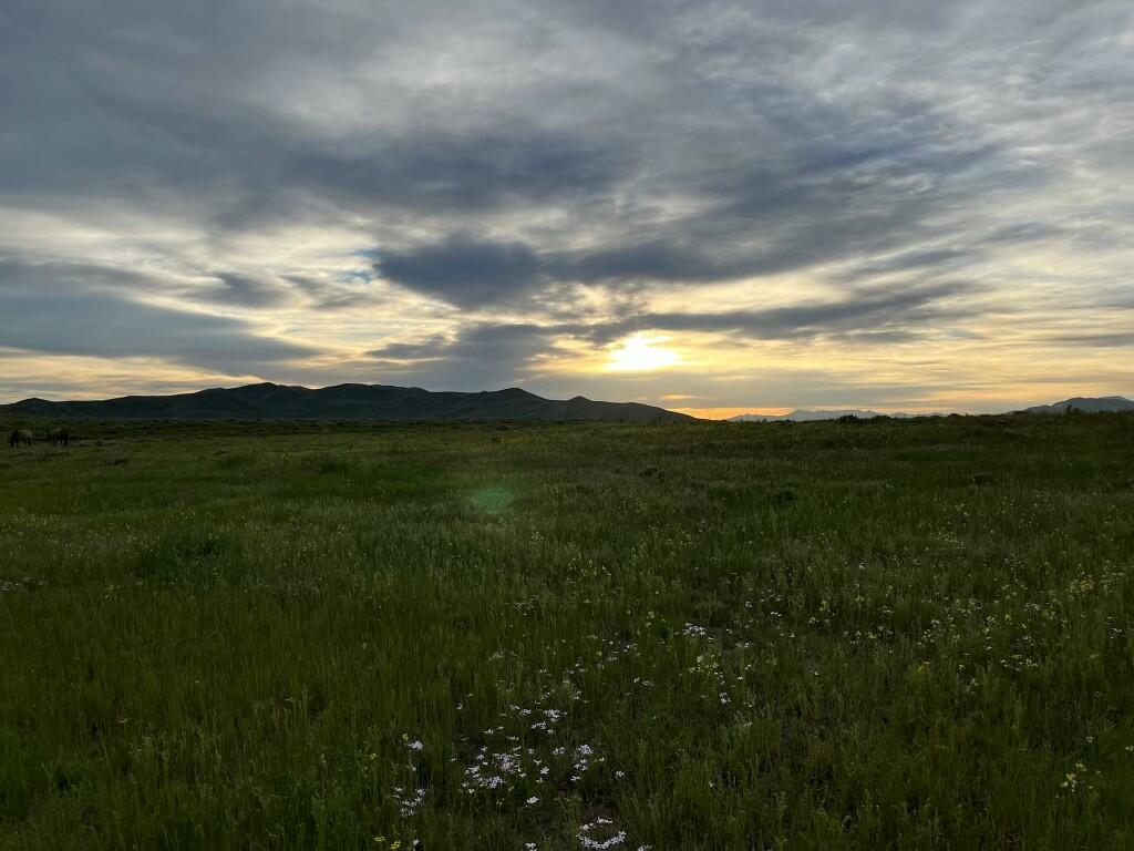 275 Cutoff Road Bellevue, ID 83313 - Photo 38 of 38 IMG_7349