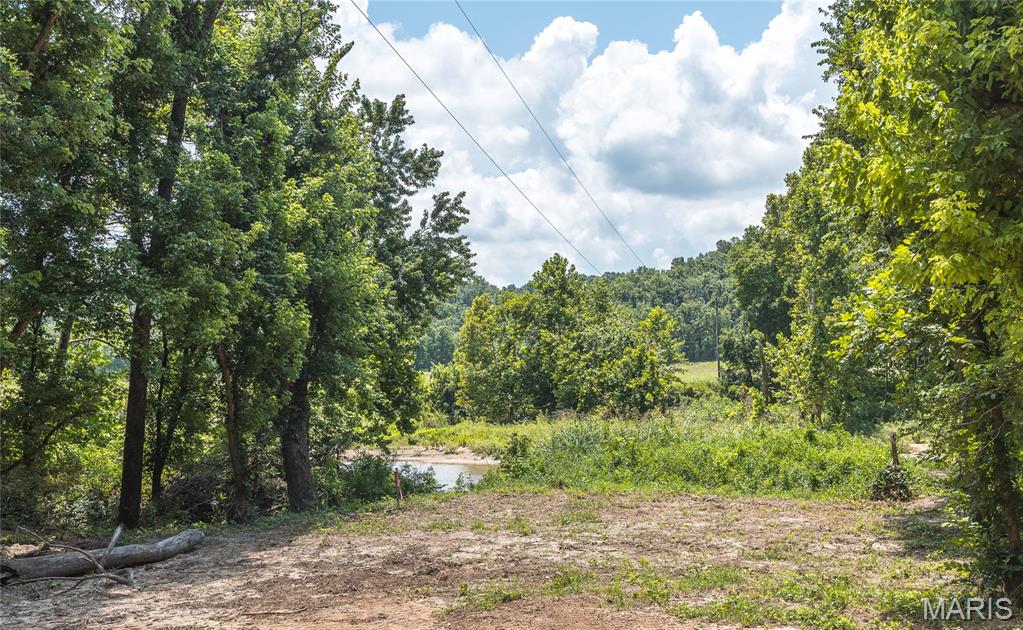 0 Green Ridge Drive Climax Springs, MO 65324 - Photo 11 of 28