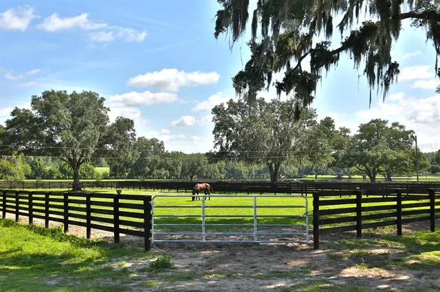 front view of a house with a garden