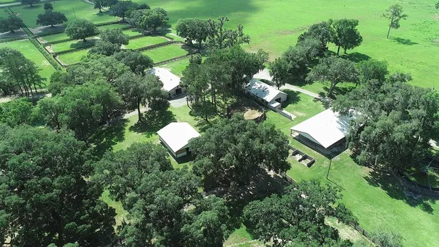 a living room with furniture a wall and a large window