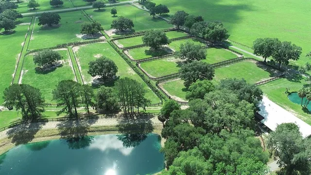a living room with furniture and wall paintings