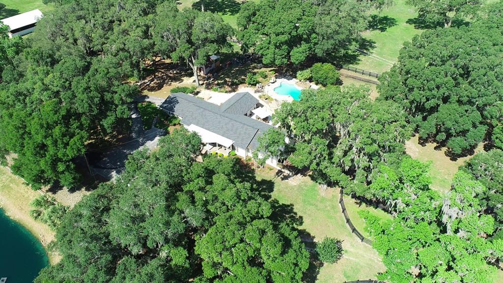 13450 Northwest Gainesville Road Reddick, FL 32686 - Photo 34 of 98