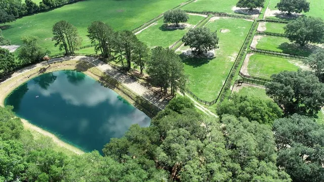 a view of a lake with a garden