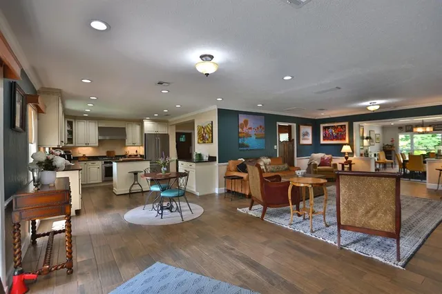 a view of a garden with plants and large trees