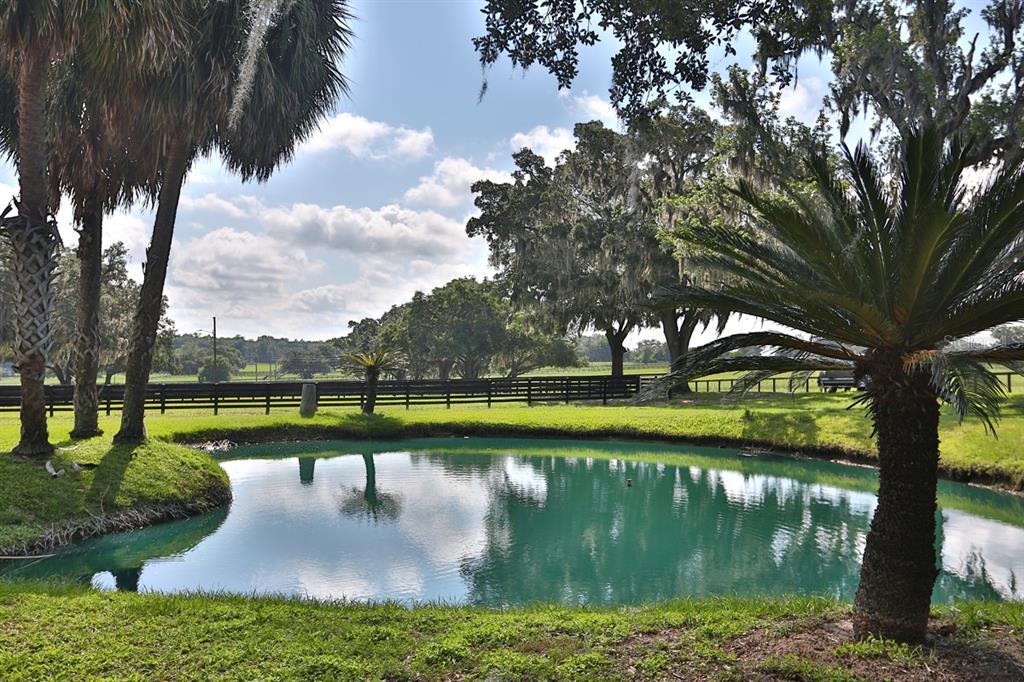 13450 Northwest Gainesville Road Reddick, FL 32686 - Photo 6 of 98