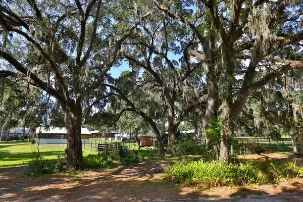 a backyard of a house with lots of green space
