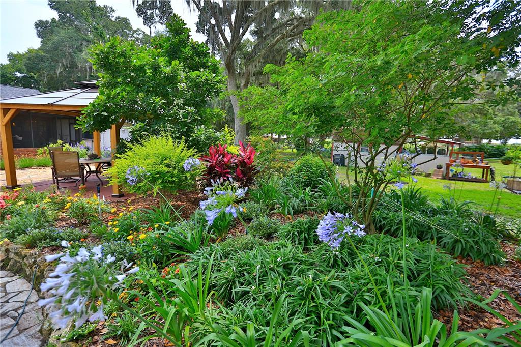 13450 Northwest Gainesville Road Reddick, FL 32686 - Photo 90 of 98