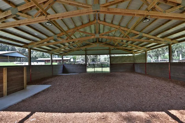 a view of a backyard with a large tree