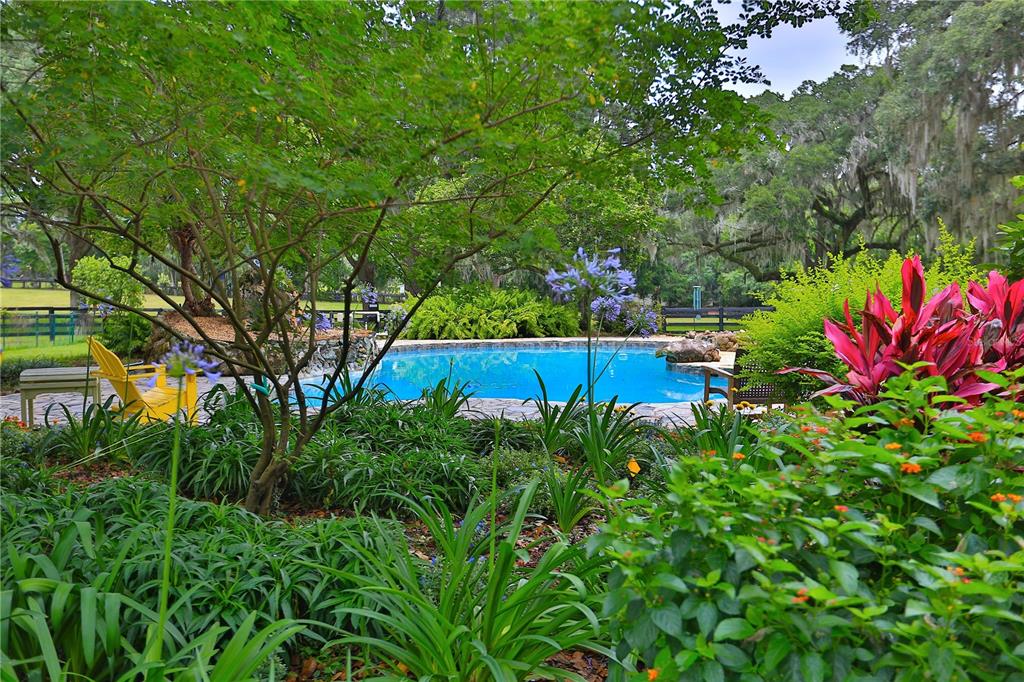 13450 Northwest Gainesville Road Reddick, FL 32686 - Photo 96 of 98