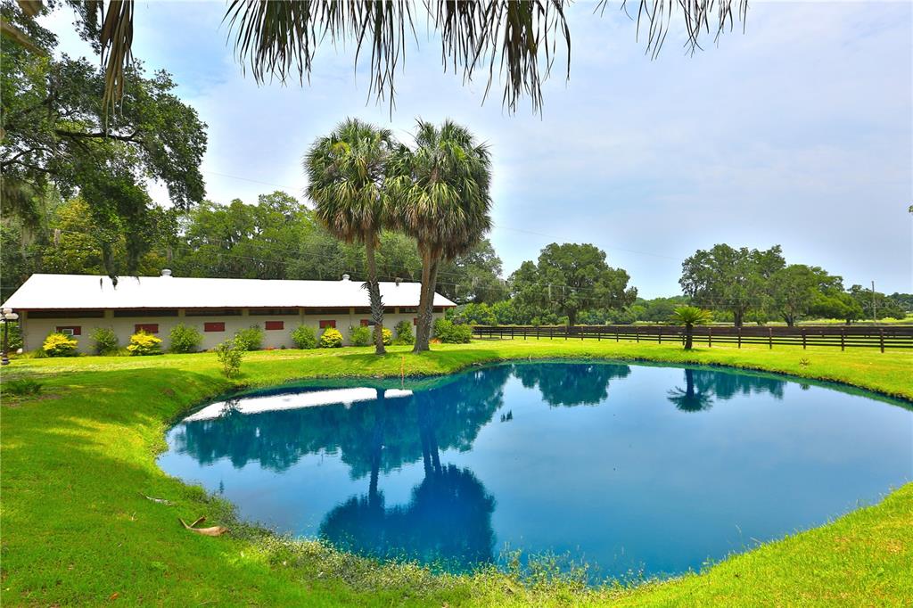 13450 Northwest Gainesville Road Reddick, FL 32686 - Photo 98 of 98