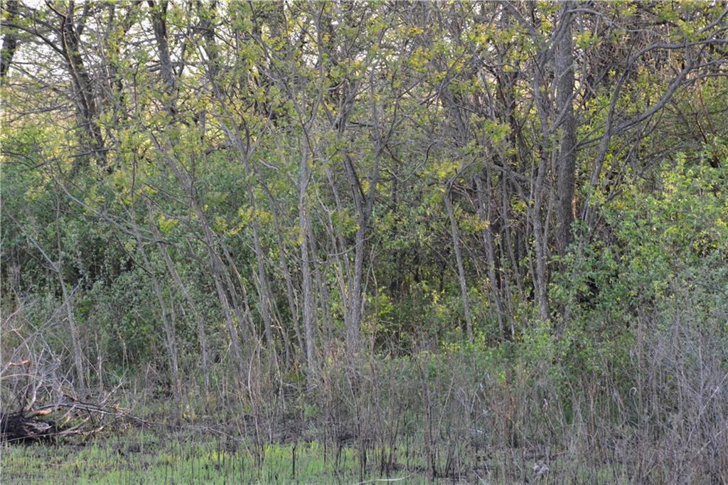 919 Juneberry Road Burlington, KS 66839 - Photo 21 of 25