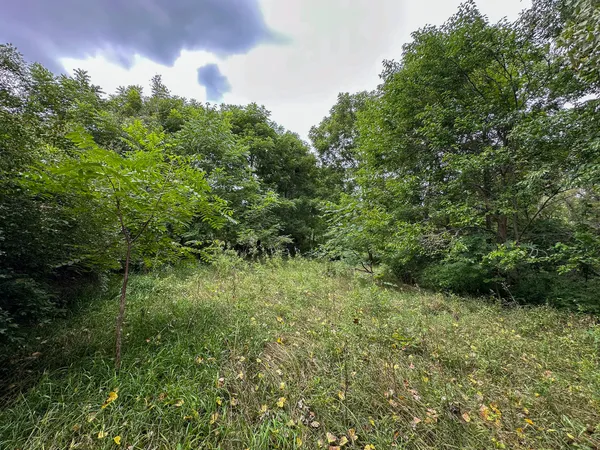 $425,000 | 4181 East Mt Morris Road, Mount Morris, MI 48458