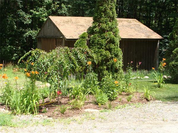 1136 Williamsville Road Barre, MA 01005 - Photo 8 of 29