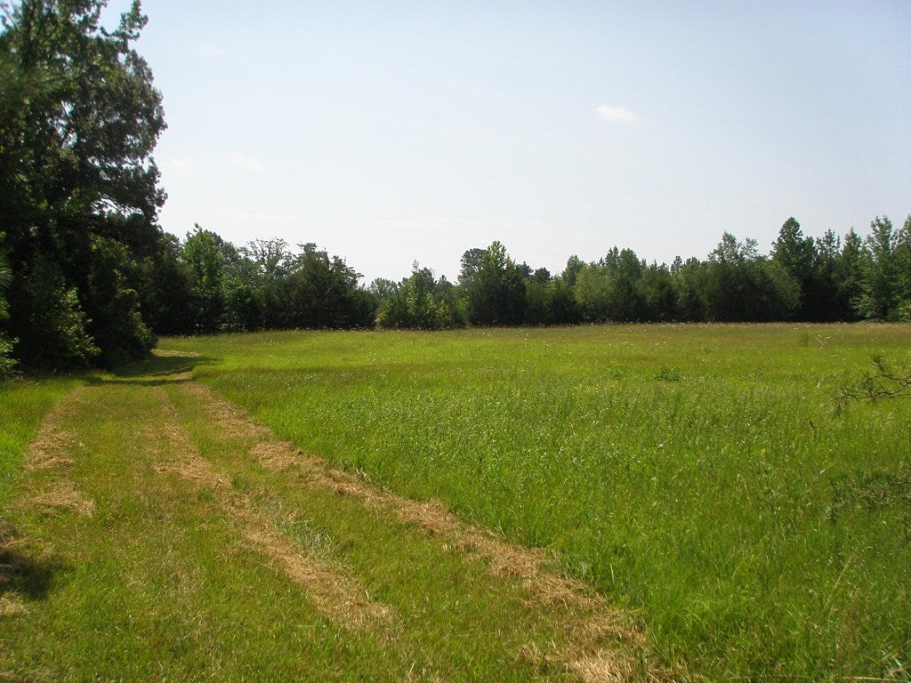 4684 Springfield Road Meherrin, VA 23954 - Photo 32 of 34 Gallery Image 32