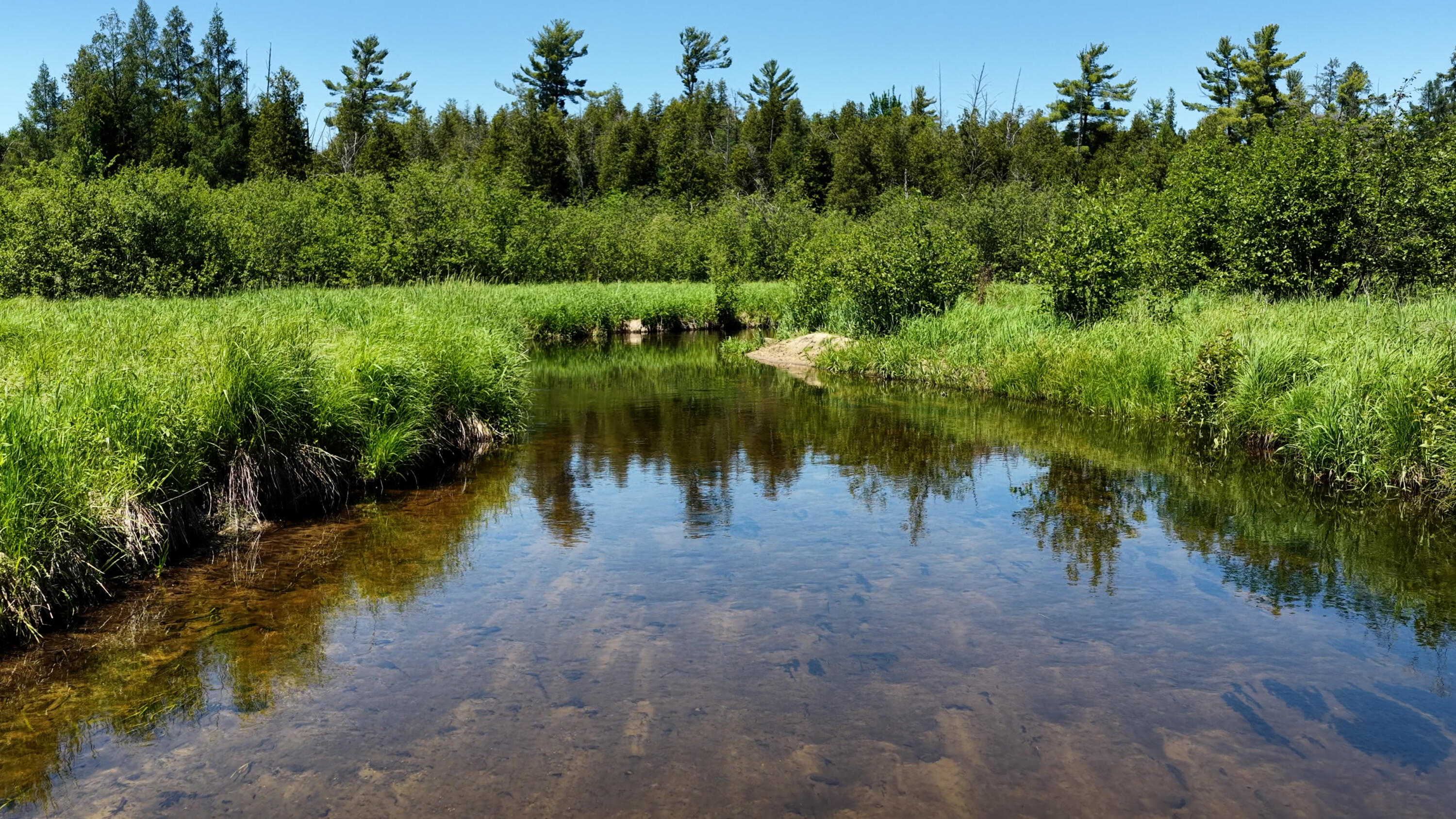 17274 Wilson Road Big Rapids, MI 49307 - Photo 42 of 51 DJI_20260608054318_0075_D.00_23_28_53.St