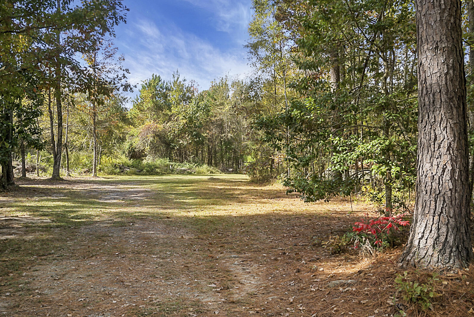 325 Broadleaf Drive Summerville, SC 29486 - Photo 51 of 62 DSC02953