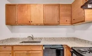 a kitchen with granite countertop cabinets stainless steel appliances and a sink