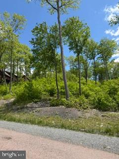 North Camp Road McHenry, MD 21541 - Photo 5 of 16