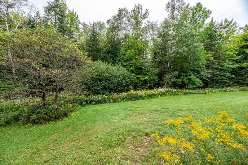 1205 North Road Peru, VT 05152 - Photo 28 of 35 Gallery Image 28