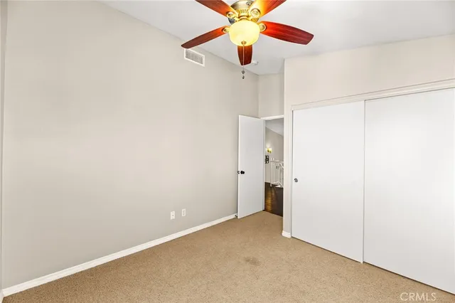 a view of flowers in a garden