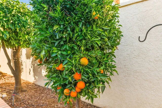 a view of a city with an ocean view