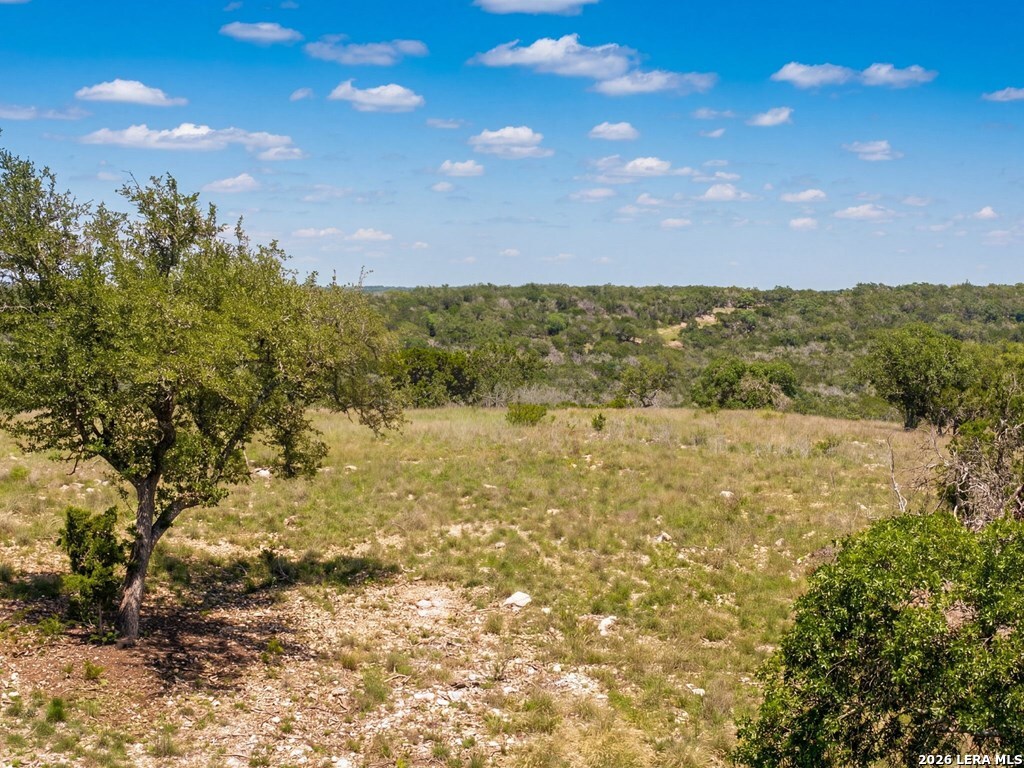 204 Wilson Rand Road Hunt, TX 78024 - Photo 16 of 46