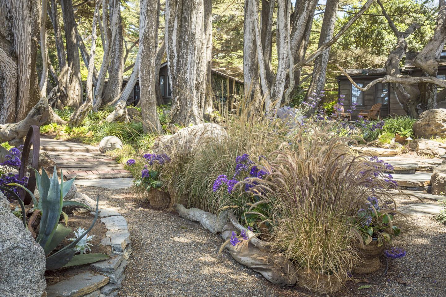 157-163 Spindrift Road Carmel, CA 93923 - Photo 83 of 100 a plant that is in front of the house