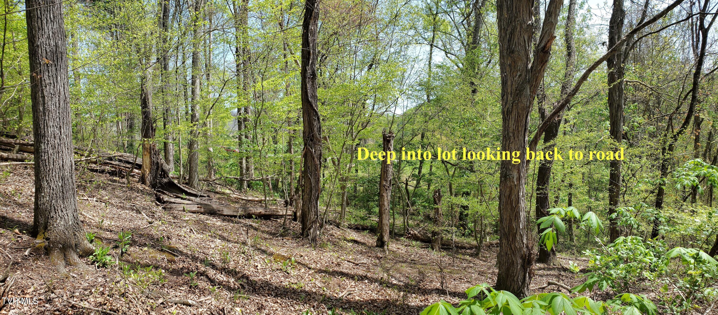 Lot 40 Cowan Town Road, Unit 40 Butler, TN 37640 - Photo 51 of 117 11