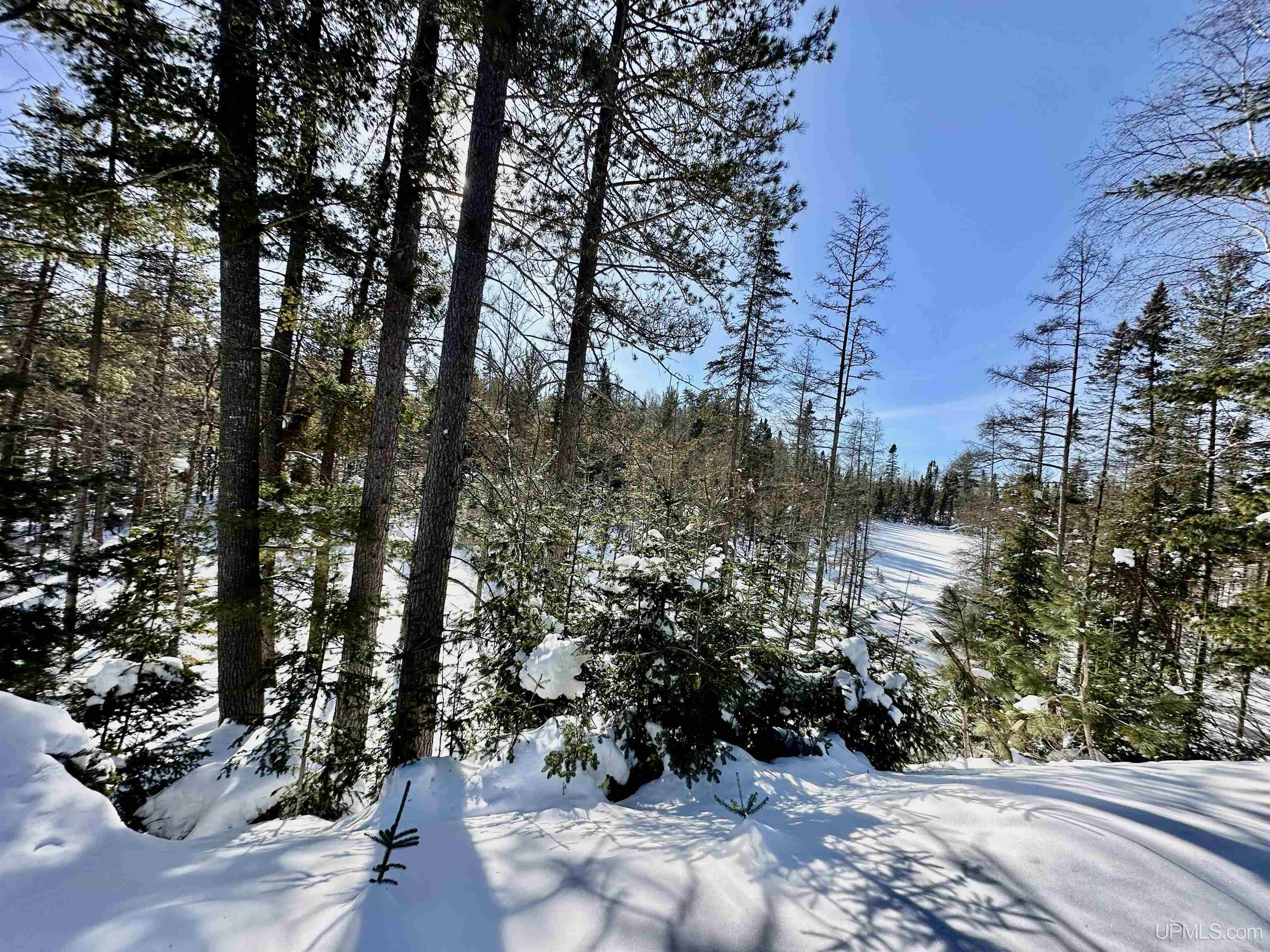 16350 County Road CF Ishpeming, MI 49849 - Photo 24 of 33