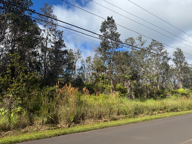15 Kahaualea Road Volcano, HI 96785 - Photo 1 of 3