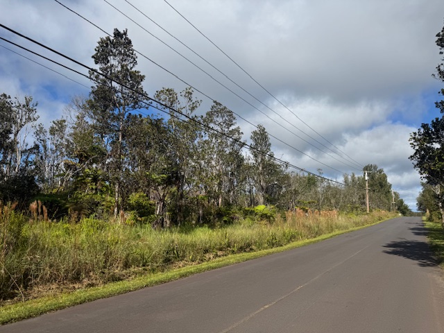 15 Kahaualea Road Volcano, HI 96785 - Photo 2 of 3 a view of a street