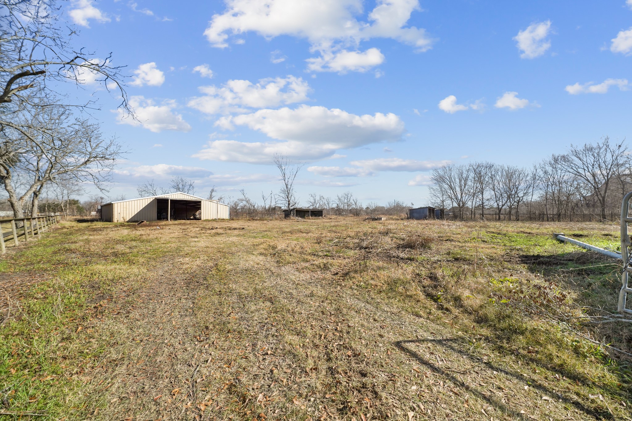 16815 Herridge Road Pearland, TX 77584 - Photo 11 of 19 a view of a yard with an trees