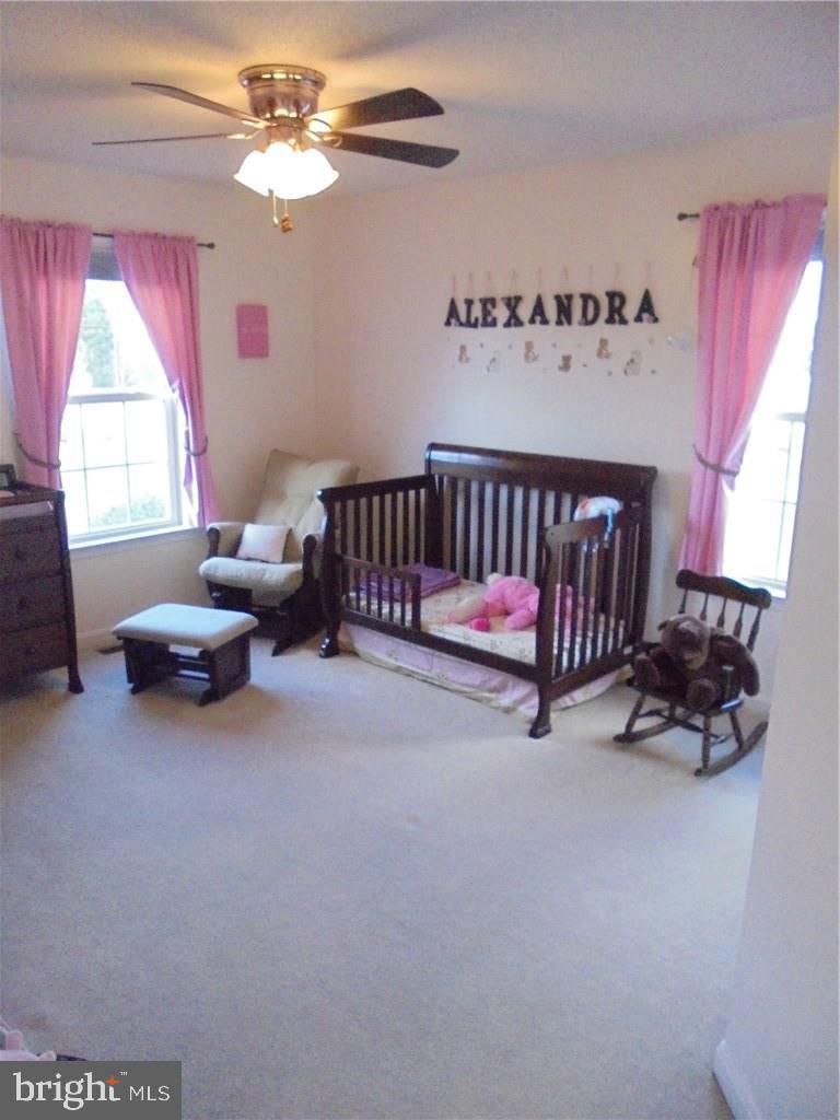 25 Hunters Mill Road Milton, DE 19968 - Photo 30 of 50 Gallery Image 30