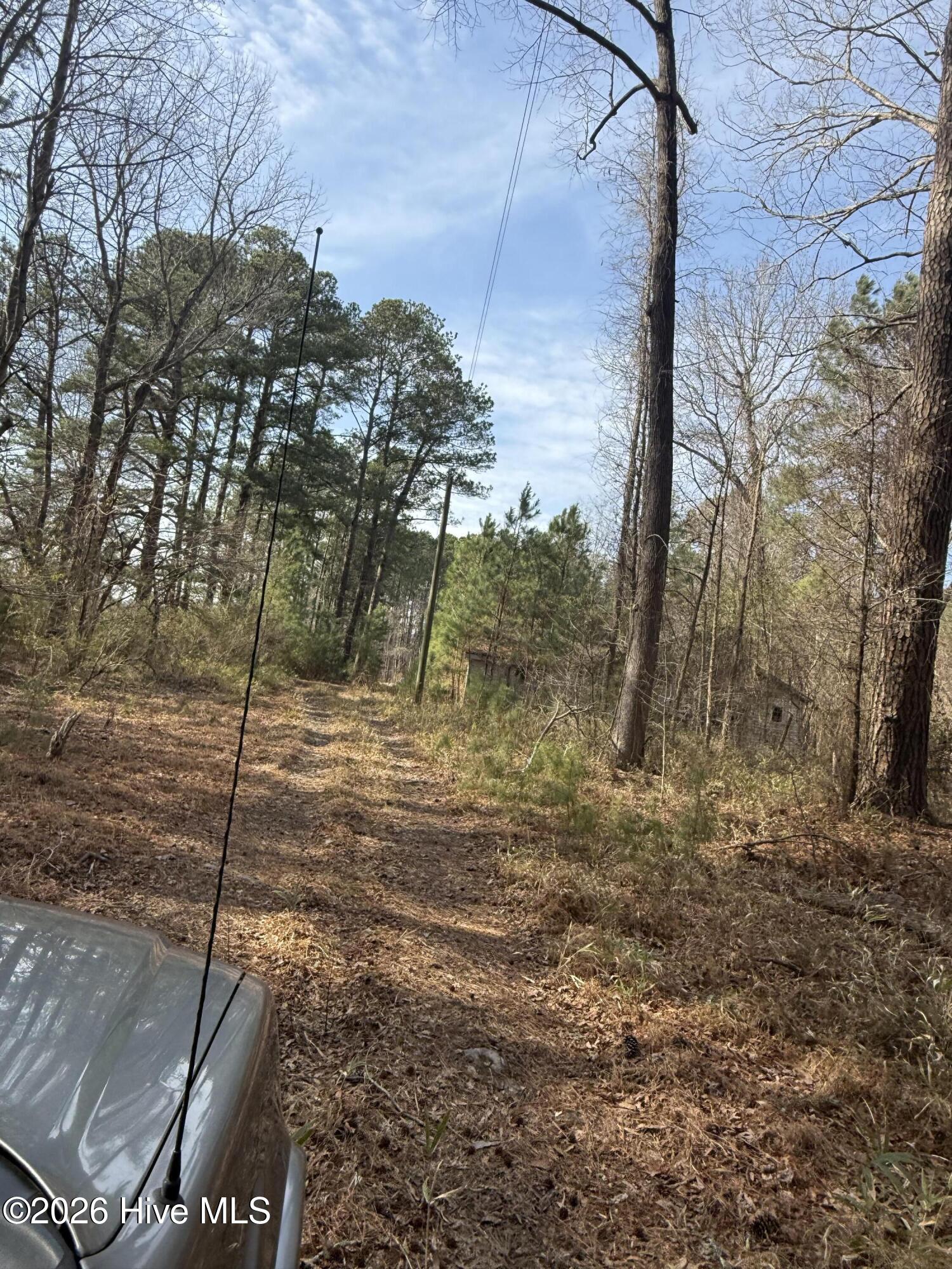 269 Creek Road Bath, NC 27808 - Photo 11 of 18