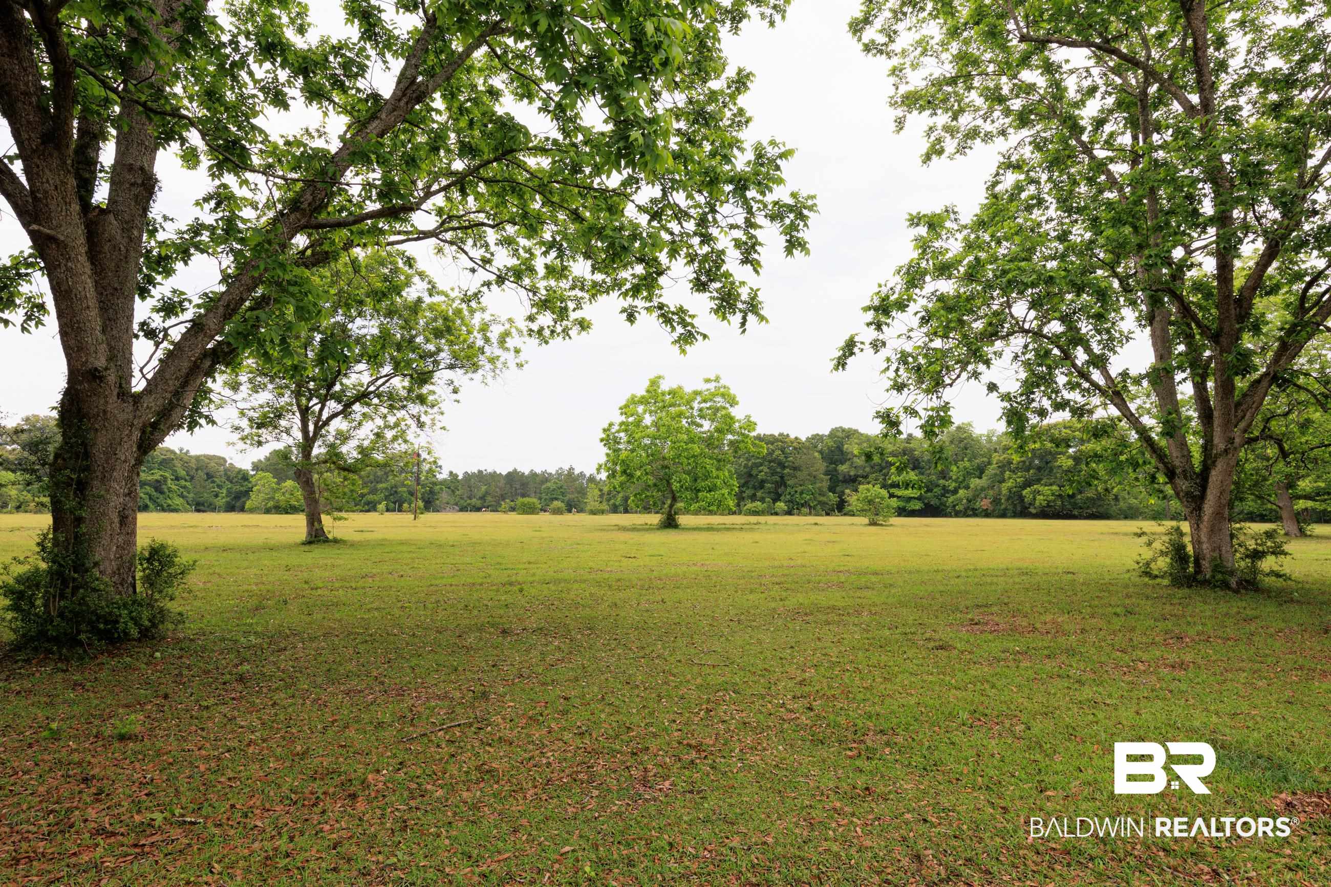 11350 Jack Hamilton Road Mobile, AL 36695 - Photo 26 of 31