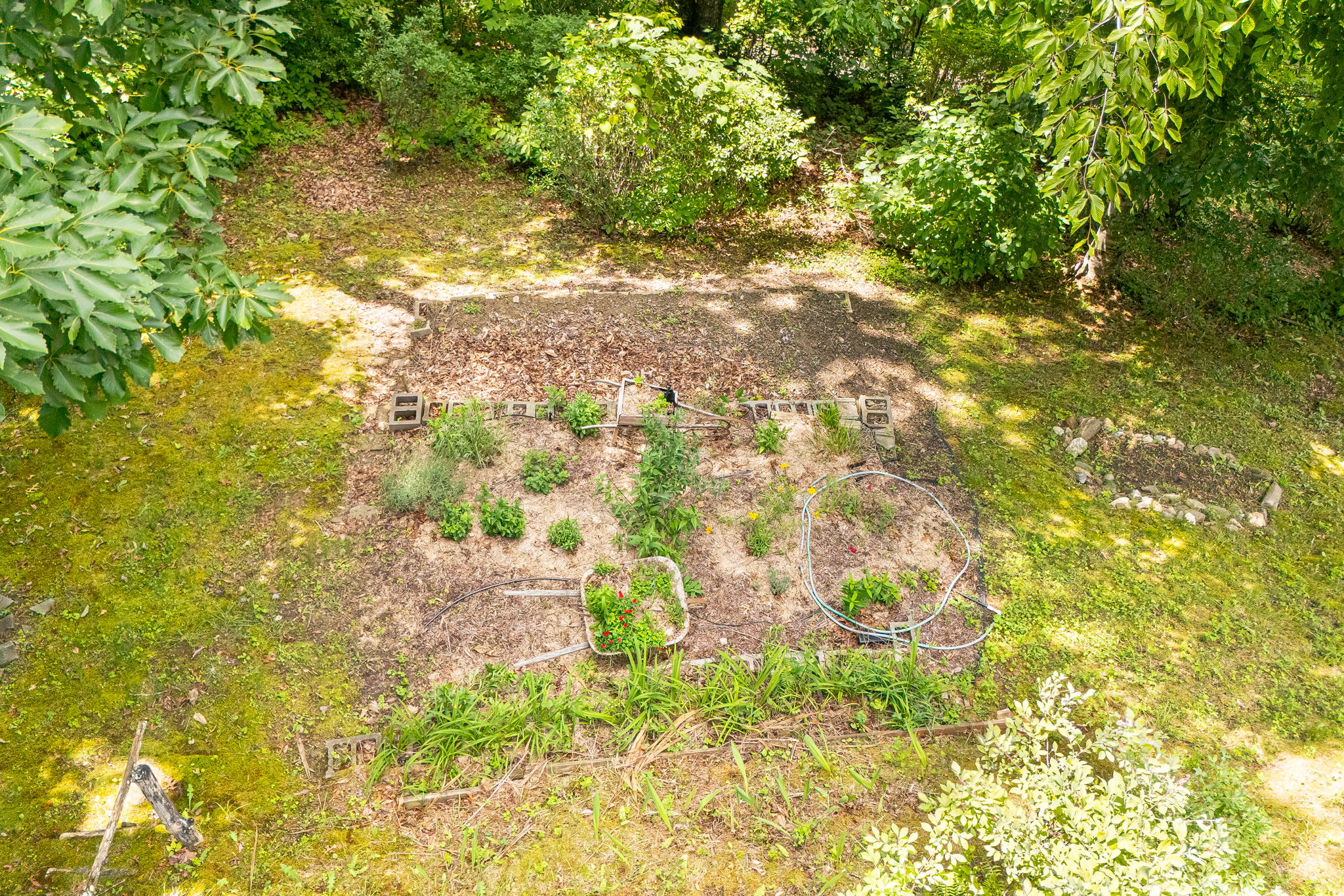 832 Dunloggin Road Cullowhee, NC 28723 - Photo 42 of 52 Gallery Image 42