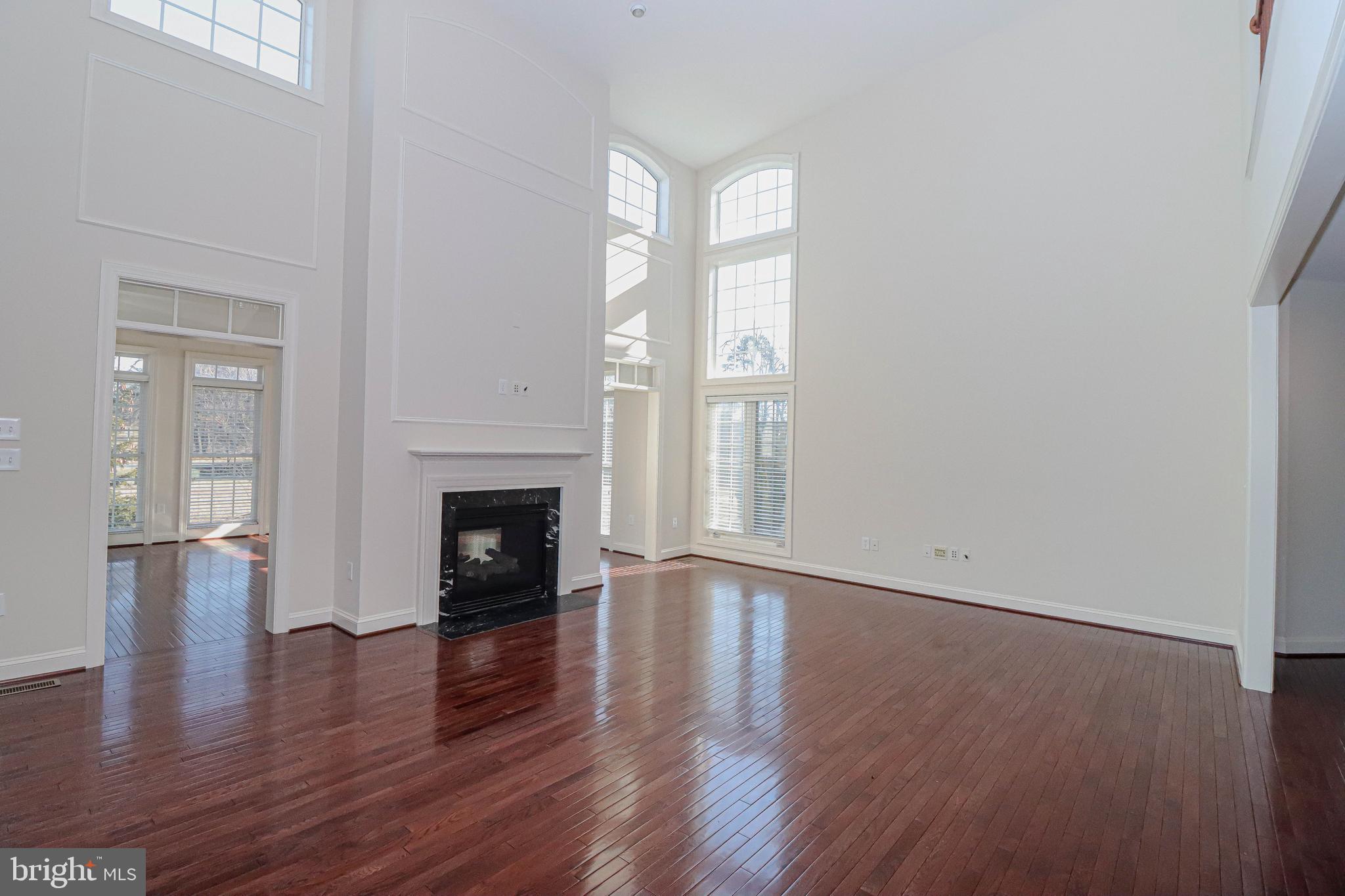 43471 Mountcastle Drive Chantilly, VA 20152 - Photo 28 of 79 Double Sided Gas FP