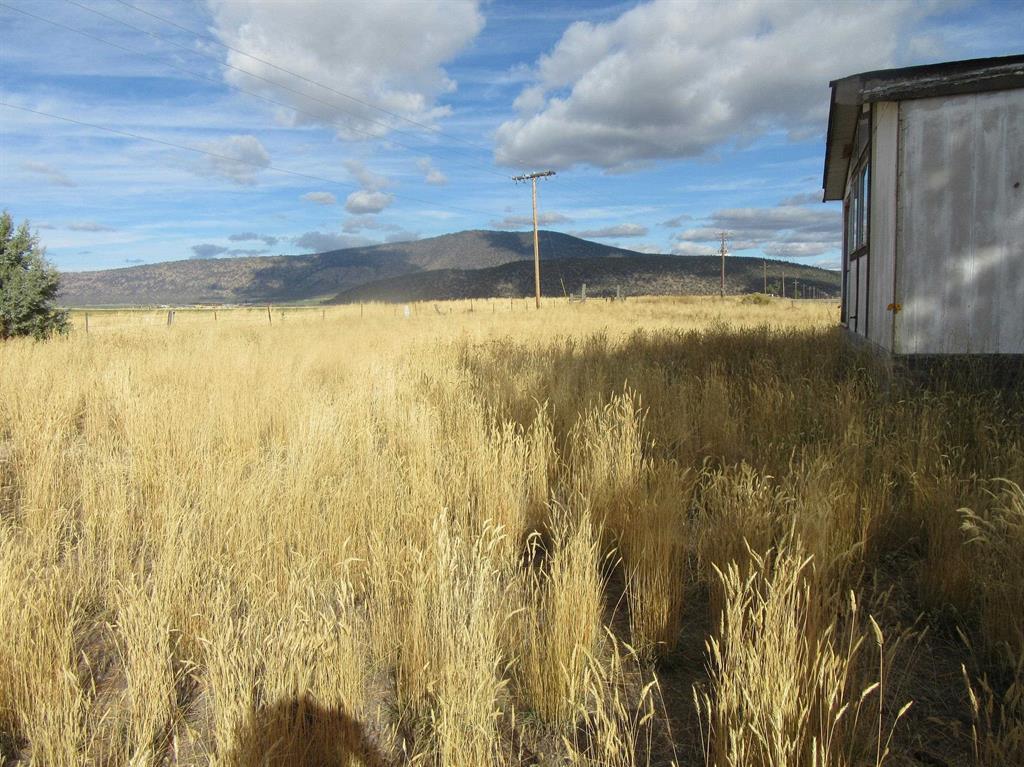 4130 Sheep Mountain Road Macdoel, CA 96058 - Photo 5 of 18 4130 sheep mountain pasture 6(6)