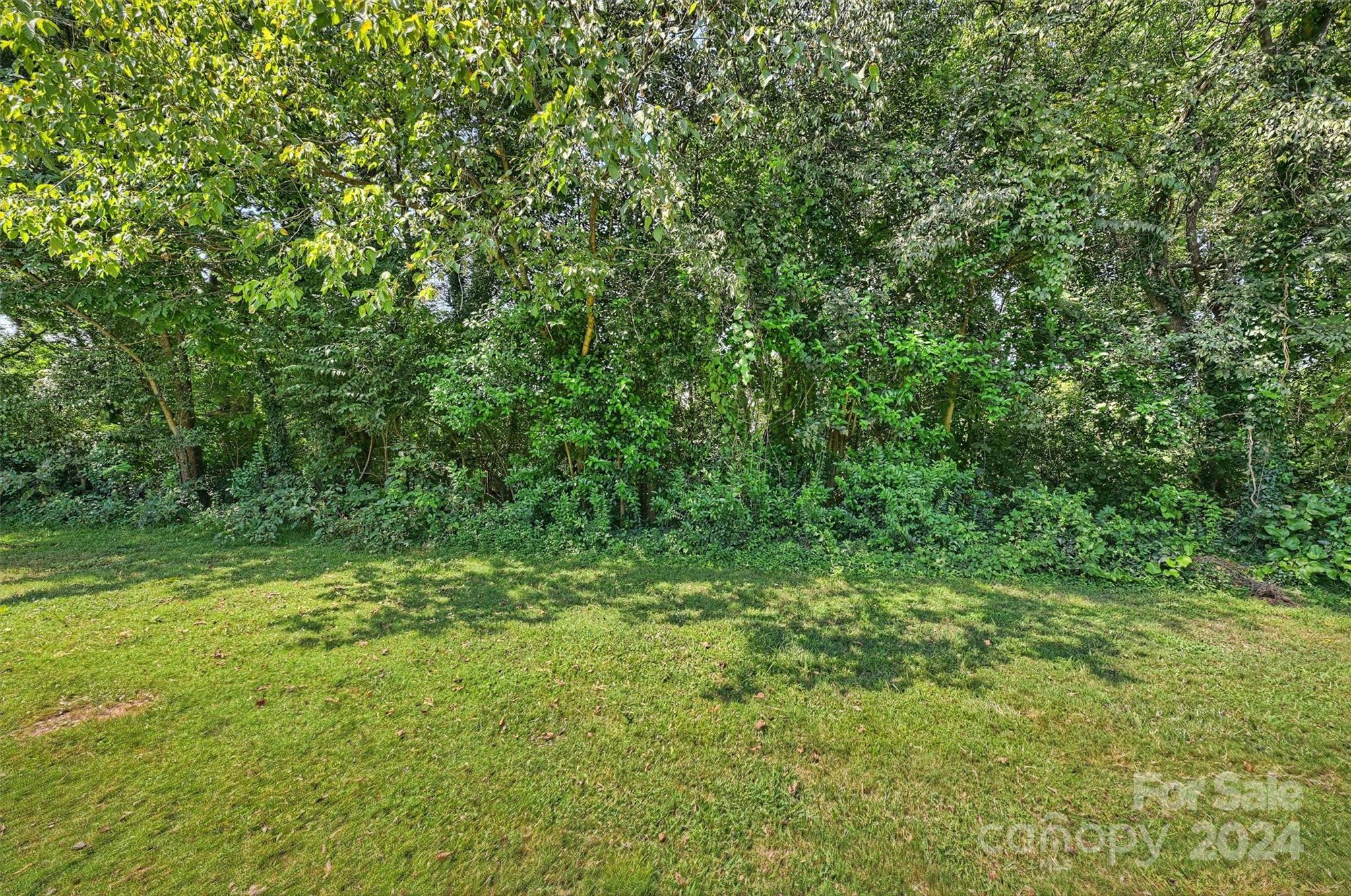 323 Hurston Circle Charlotte, NC 28208 - Photo 24 of 27 a view of a lush green space